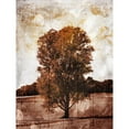 thumbnail image 3 of Villa, Mlli 12x14 Black Modern Framed Museum Art Print Titled - Lonely Fall Tree, 3 of 5
