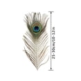 thumbnail image 1 of Natural Peacock Feather 10PCS Natural Peacock Feather For House DIY Craft Holiday Wedding Decorations, 1 of 8