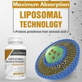 thumbnail image 3 of Glutation Liposomal Reducido 1400mg 60 Cápsulas Sin Sabor, 3 of 5