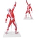 thumbnail image 1 of Modelo De Muscular, Modelo De Anatomía Que Muestra El Modelo De Músculos Humanos Para La Enseñanza Y Explicación Del Arte, 1 of 7