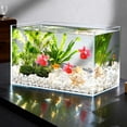 thumbnail image 2 of 20Pcs Diving Pool Toys, Artificial Goldfish 1.77" Realistic Rubber Floating Fish Fish Tank Decor TPR Small Tropical Goldfishesfor Sensory Bin, Bath & Soccer Theme Favors Mixed Color, 2 of 4