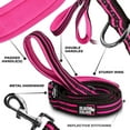 thumbnail image 2 of Correa para perros Black Rhino con Rayas Doble asa Reflectante 5 pies Rosa/azul, 2 of 3