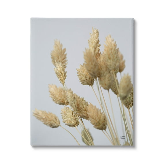 Stupell Industries Calm Pampas Grass Breezy Sky Photograph Gallery Wrapped Canvas Print Wall Art, Design by Nathan Larson