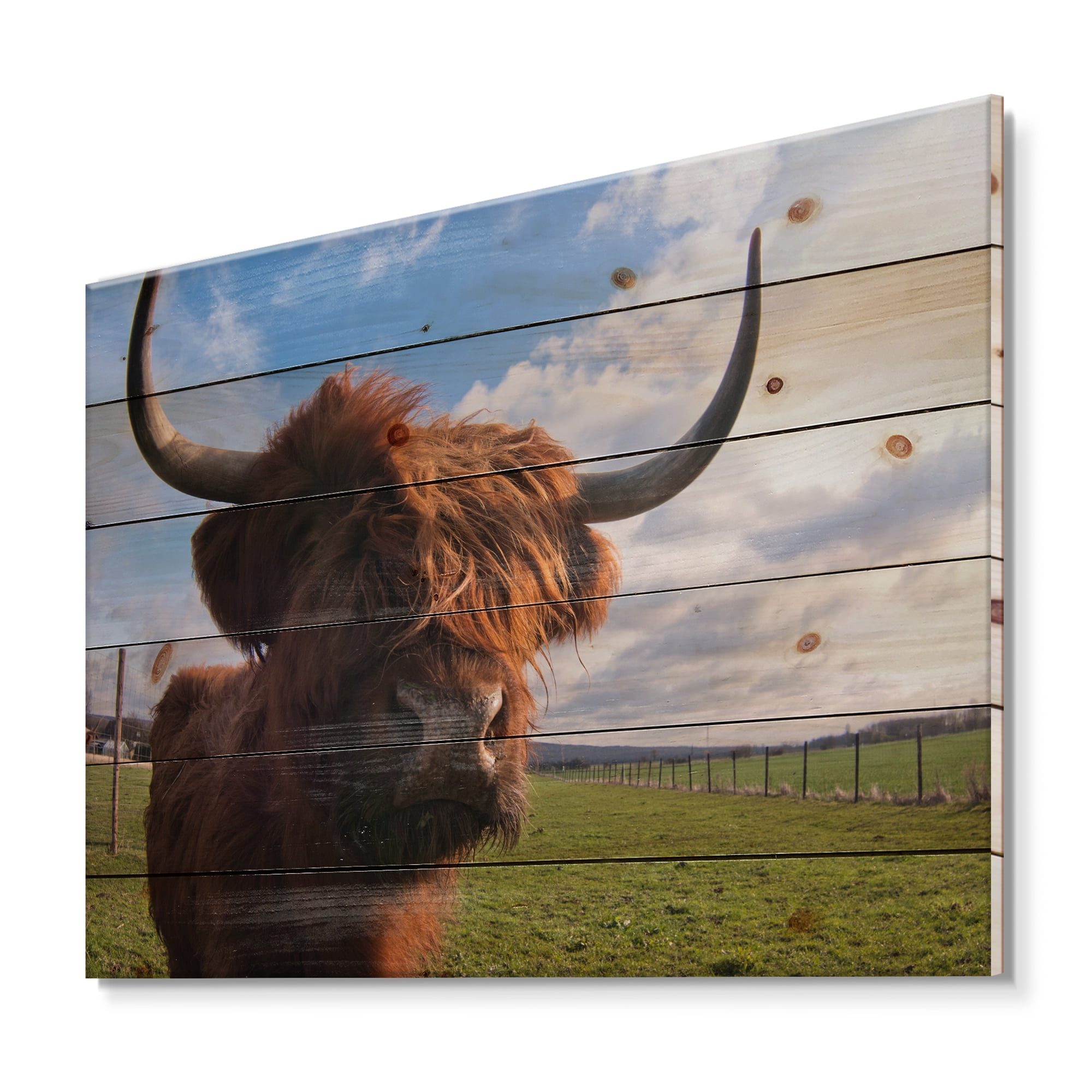 Designart 'Close Up Portrait Of A Yak' Farmhouse Print on Natural Pine Wood