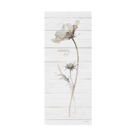 Trademark Fine Art 'A Country Weekend VII Shiplap Crop' Canvas Art by Lisa Audit