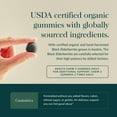 thumbnail image 4 of Gaia Herbs Black Elderberry (Sambucus nigra) Extra Strength Gummies - Delicious Immune Support Supplement* - Certified Organic Black Elderberries for Immune System Support* - 80 Gummies (40 Servings), 4 of 9