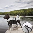 thumbnail image 2 of NSESSHome Dog Life Jacket with Reflective Stripes, Adjustable High Visibility Dog Life Vest Ripstop Dog Lifesaver Pet Life Preserver with High Flotation Swimsuit, 2 of 9