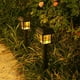 thumbnail image 1 of Farol de jardín con energía solar | Iluminación exterior automática para decoración de patios | Lámpara solar de plástico resistente al agua IP65, 1 of 6
