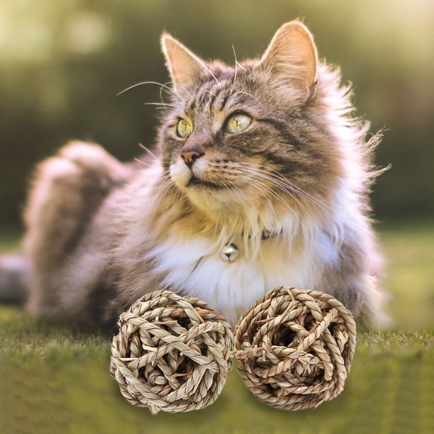 Suministros para mascotas, juguetes de pelota de hierba trenzada para masticar animales pequeños para conejos, hámster, jerbos Tmvgtek 3pu6vs4ea2zr0ac6
