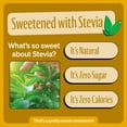 thumbnail image 4 of Zevia Zero Calorie Soda, Cream Soda, 12 Ounce Cans (Pack of 6), 4 of 5