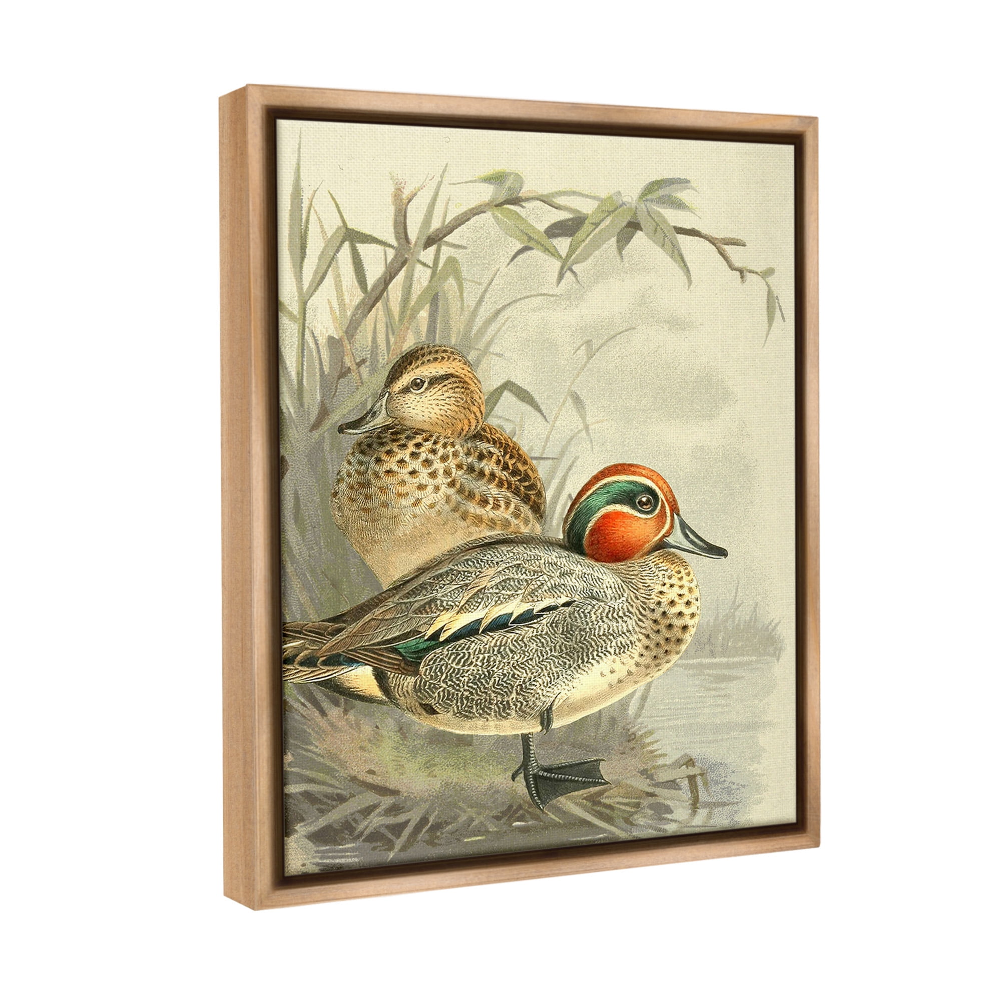 Stupell Industries Ducks with Pond Botanicals Animals & Insects Painting Brown Floater Framed Canvas Art Print Wall Art, 17 x 21