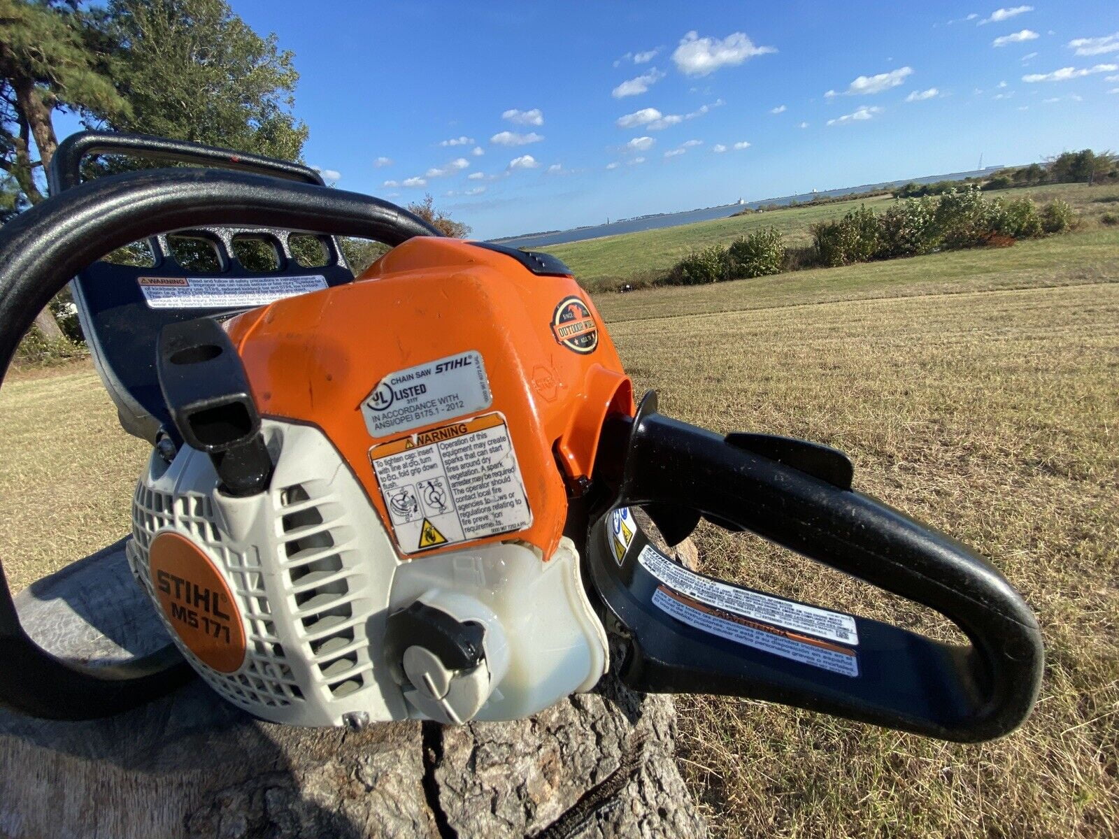 STIHL MS171 Chainsaw 16-inch Gas Powered Professional Mini BOSS - Lightweight Homeowner Chainsaw