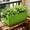Green, variant on Xheghe Non Woven Planting Bag - Breathable Horticultural Pot with Portable Handles for Growing Flowers, Herbs, and Vegetables in Outdoor Yards or Indoor Balconies