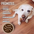 thumbnail image 4 of Cuenco para perros Slow Feeder Leashboss Cup Maze Puzzle Food, 4 tazas, 4 of 9