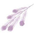 thumbnail image 1 of Coofit 2PCS Artificial Flower Lifelike Peacock Tail Fake Plant Fake Flower for Wedding, 1 of 6