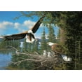 thumbnail image 1 of Casse-tête d'Aigles Gigognes de cobble Hill, 1 of 2