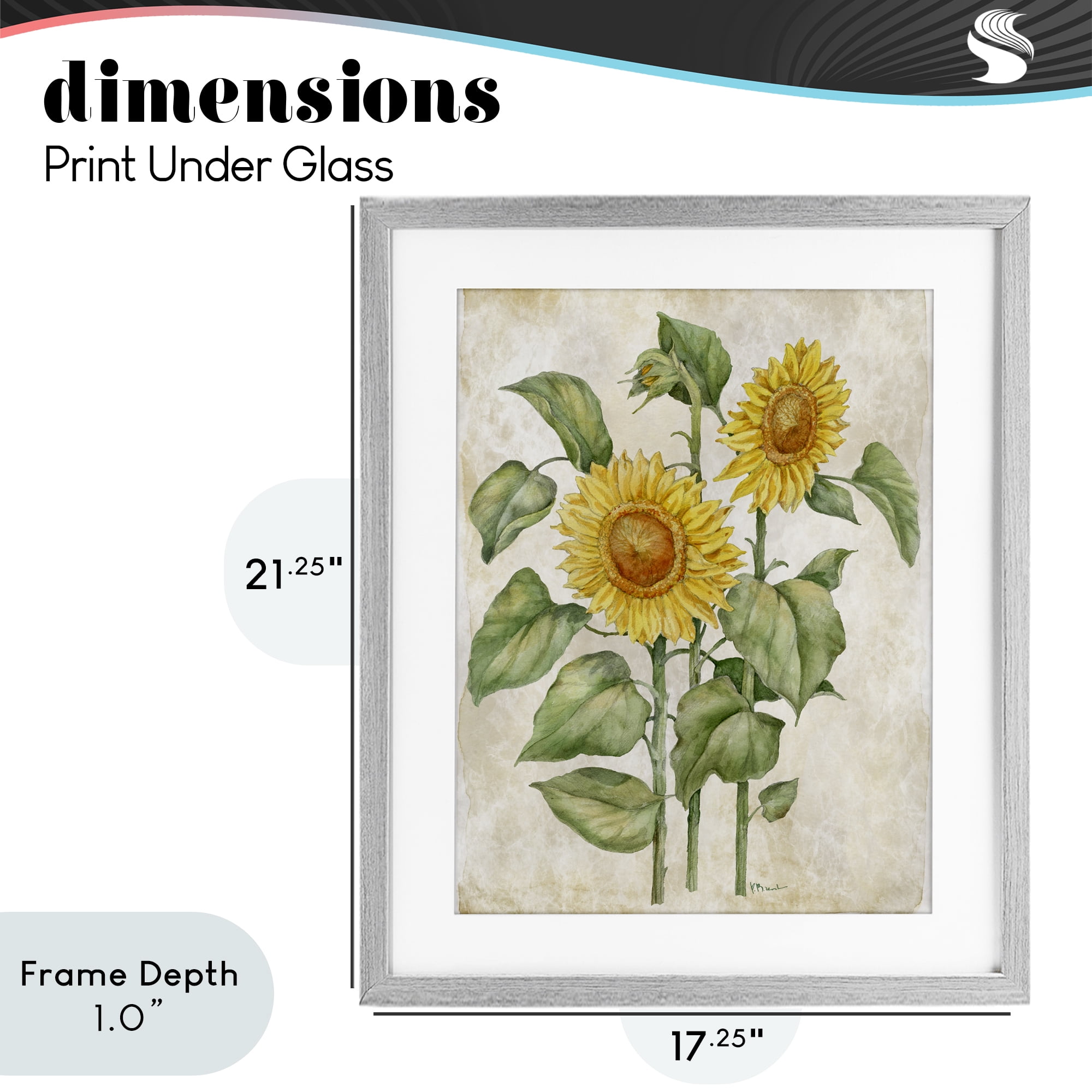 Stupell Industries Floral Journal Vintage Sunflower Gray Framed Print Under Glass, design by Paul Brent