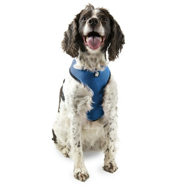 FurHaven Pet Harness | Mesh Dog & Cat Harness, True Blue, Large ...