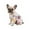#K02, variant on Dog Christmas Pajamas Puppy_Onesies Small Dogs Soft Warm Pet Clothescat Apparel Comfy Pet Clothes Outfit Doggie Bodysuit Christmas Gifts for Pets(#A01,S)
