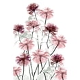 thumbnail image 3 of Koetsier, Albert 11x14 Black Modern Framed Museum Art Print Titled - Magnificent Flower Bed 2, 3 of 5