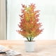 thumbnail image 4 of Decoraciones Del Árbol de Navidad,Simulación Pequeño Pinaster Cedar Tree 19.68In High Multicolor,Planta en Maceta Artificial de Bonsai para la Sala de Estar,Árbol de Navidad Pequeño,,, 4 of 6