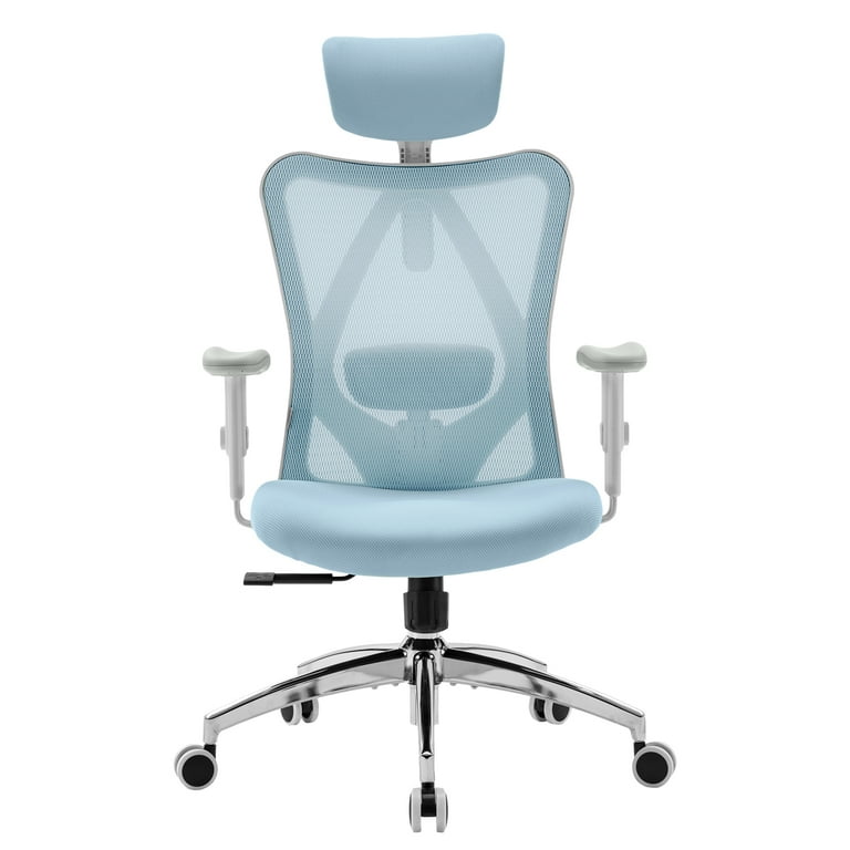 Sihoo M18 High Back Ergonomic Office Chair, Blue photo 1