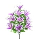 thumbnail image 1 of Carro Portamangueras Ajustable | Organizador de Mangueras | Almacena y Transporta Mangueras de Jardín | Uso Exterior para Césped, Plantas, Herramientas y Equipos de Riego, 1 of 6