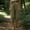 A_ Green, variant on Women's Linen Blend Harem Capri Pants, Elastic Waist Drawstring Cuff Harem Pants with Pockets for Festival Wear Coffee XL