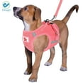 thumbnail image 3 of Deago No Pull Dog Pet Harness With Leash Reflective Soft No Choke Easy Control for Small Dog Cat Outdoor Walking Travel (Pink, L), 3 of 9