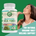 thumbnail image 2 of Organic Sea Moss Supplement with Bladderwrack and Burdock Root for Immune Support 60 Capsules, 2 of 9