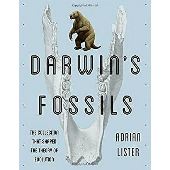 Darwin's Fossils : The Collection That Shaped the Theory of Evolution 9781588346179 Used / Pre-owned