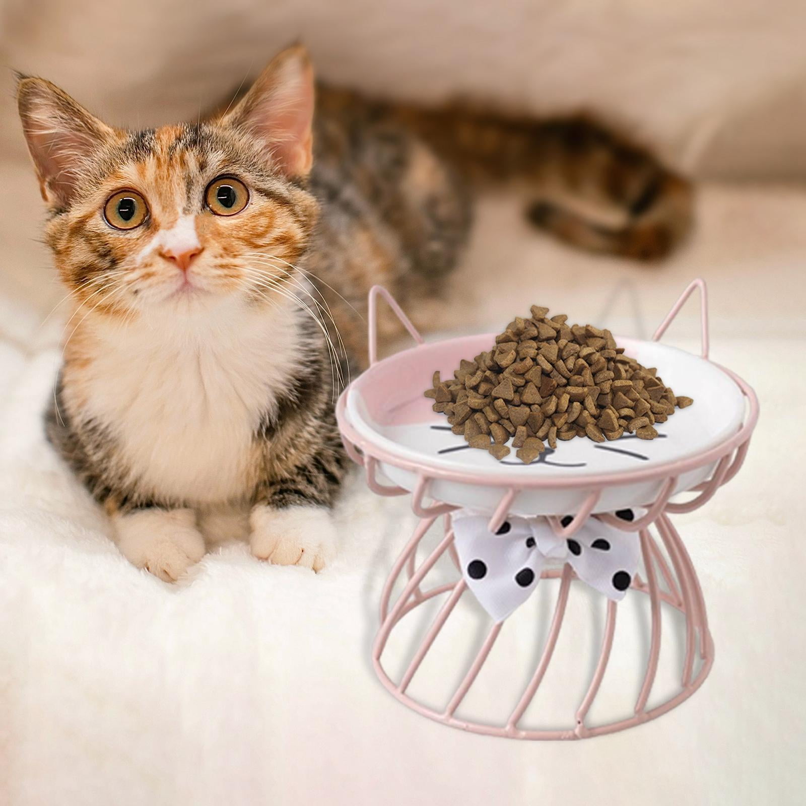 Fzaqwen Pet Ceramic Bowl Pet Bowl Cat Raised Elevated Feeder Cat Dog B Pink