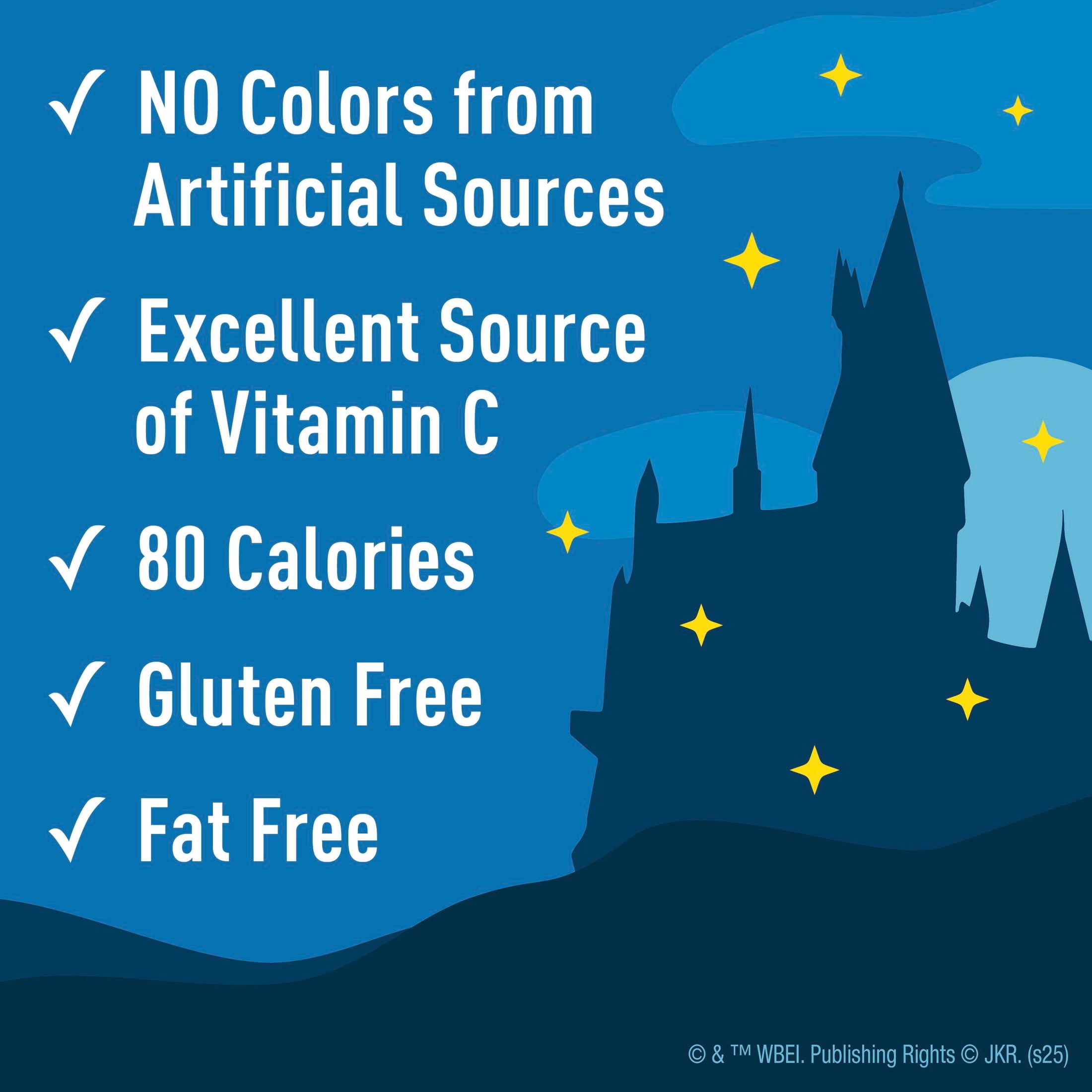 (6 pack) Harry Potter Fruit Flavored Snacks, Gluten Free, Value Pack, 17.6 oz, 22 Pouches