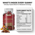 thumbnail image 6 of Berberine Gummies 1200mg with Ceylon Cinnamon – Blood Sugar & Metabolism Support Supplement – Berberine with Turmeric & Milk Thistle – Energy & Balance Formula – Raspberry Flavor, 60 Gummies, 6 of 6