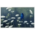 thumbnail image 2 of Indigo and Lace  Indigo Bunting, Animals Botanical Framed Art Print Wall Art by Wilhelm Goebel Sold by Art.Com, 2 of 6