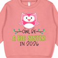 thumbnail image 3 of Inktastic Owl Be a Big Sister in 2026 Toddler Sweatshirt, 3 of 4
