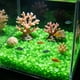 thumbnail image 1 of Pequeñas piedras romboidales que brillan en la oscuridad para sustrato de jardín y acuario: piedras fluorescentes luminosas para decoración nocturna, paisajismo acuático y detalles de caminos., 1 of 6