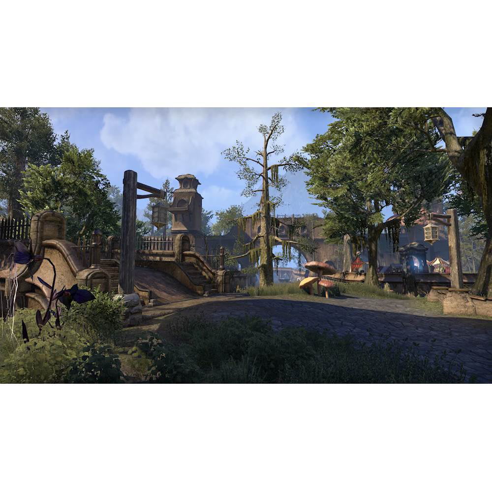 ryste flicker Anden klasse Elder Scrolls Online: Morrowind Bethesda PlayStation 4 093155171862 -  Walmart.com