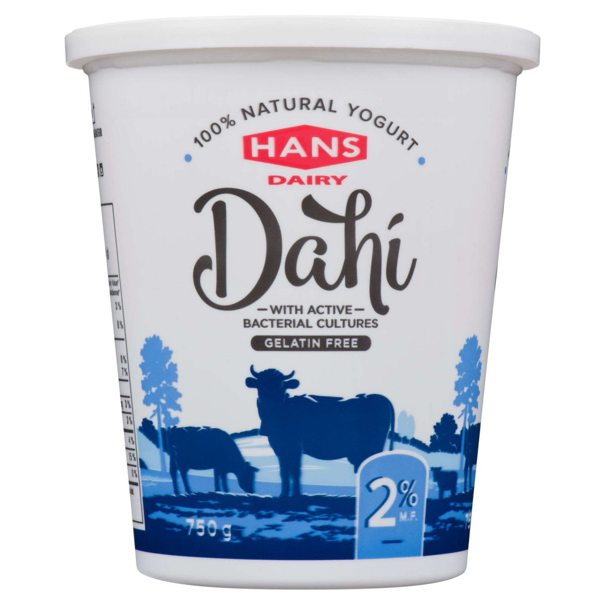 Hans Dairy Dahi 2% M.F. Natural Yogurt
