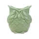 thumbnail image 1 of Maceta con forma de búho, bonita maceta de cerámica decorativa, maceta de búho para Sin mirada verde, 1 of 9