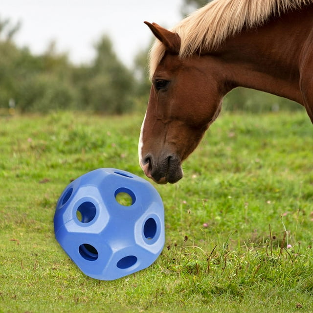 Divertido alimentador de de bola de regalo de caballo de 15,7 ", juguetes de alimentador de caballo, bola de de alimentación , Azul
