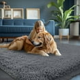 thumbnail image 3 of Fluffy Rug 160x200cm Bedroom Rugs: Shag Rug for Bedroom - Area Rug 160x200cm Gray Plush Fuzzy Soft Carpet for Living Room - Teenage Room Dorm Decor Carpets Gray Area Rug 160x200cm(Rectangular), 3 of 5
