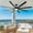 Black#93, variant on Tower Fan 72 inch Large Ceiling Fans with Lights and Remote, Indoor/Outdoor Black Modern Ceiling Fan for Kitchen Living Room Patio, 6 Speed Reversible Quiet DC Motor, Dual Finish 8 Blades,Box Fan