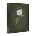 thumbnail image 2 of Stupell Industries Transitional Emerald & White Oval Rose Black Framed Giclee Art, 11 x 14, by Sally Swatland, 2 of 8
