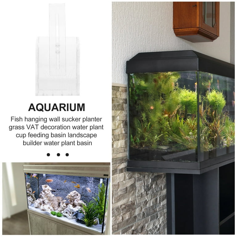 Superfish Home 30 Aquarium - Perfect Aquatics