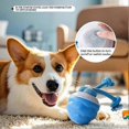 thumbnail image 3 of Rechargeable Interactive Dog Toy Ball, Motion Activated Rolling Ball for Small Pet Dog, Indoor Outdoor Training & Boredom Buster, 3 of 5