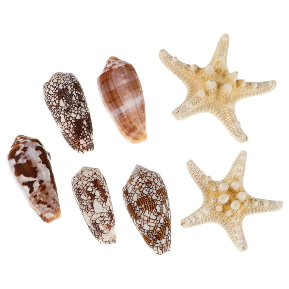 IBASETOY 7 Pcs Magnetic Fridge Stickers Assorted Color No Adhesive Residue Fridge Accessories Decoration