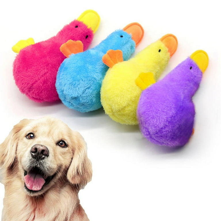 Dogs playing outlet with squeaky toys