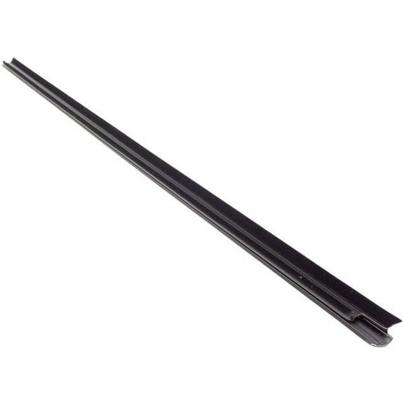 Door Belt Molding - Compatible with 1994 - 2002 Dodge Ram 2500 1995 1996 1997 1998 1999 2000 2001