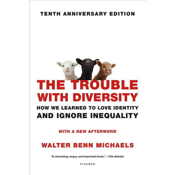 The Trouble with Diversity: How We Learned to Love Identity and Ignore Inequality, (Paperback)